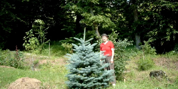 Parcul Dendrologic este o oază de verdeaţă