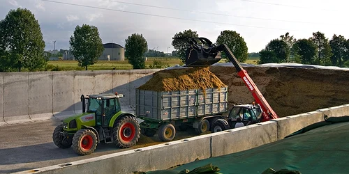 Investiţii eco în deltă (sursa foto: ziaruldetulcea.ro)