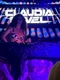 banner claudia pavel cream png