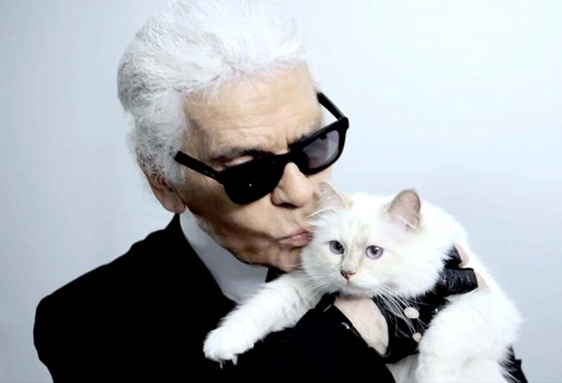 Creatorul de modă ar vrea să se însoare cu Choupette