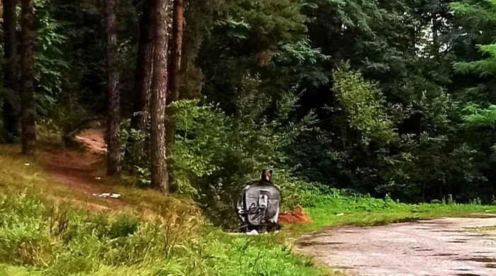 Ursul observat într-un tomberon din Petroșani. FOTO Ecy Hodos, Facebook