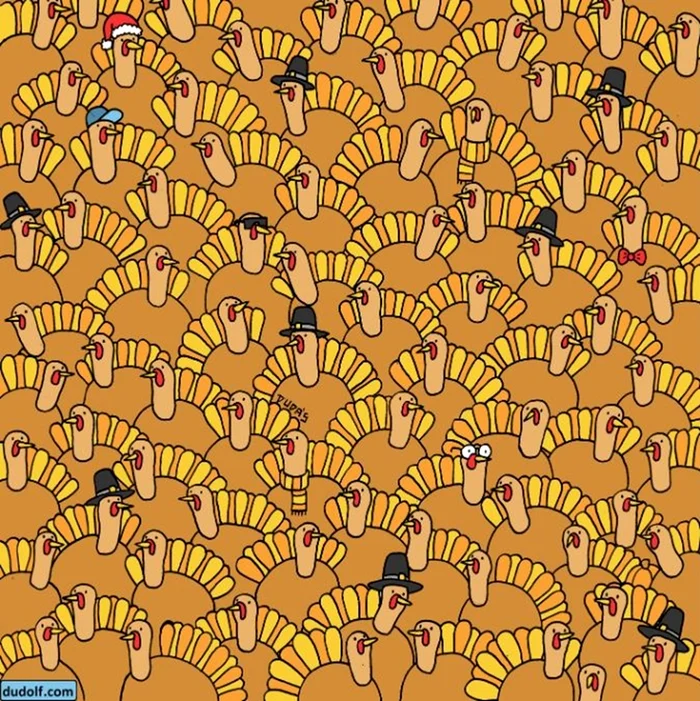 Testul trebuie rezolvat în 30 de secunde / foto: Dudolf