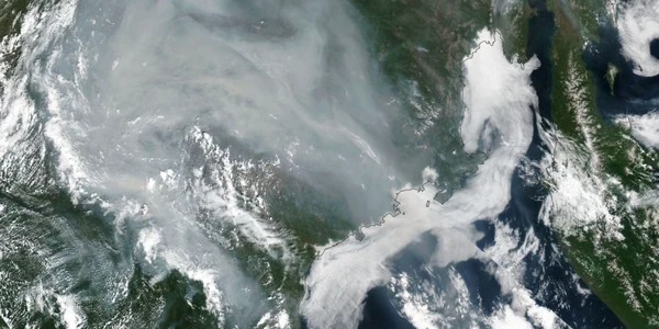 Incendii de vegetaţie în Siberia FOTO Profimedia