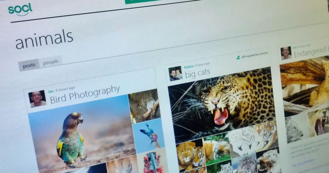 Socl este reţeaua socială dezvoltată de Microsoft. FOTO Adevărul