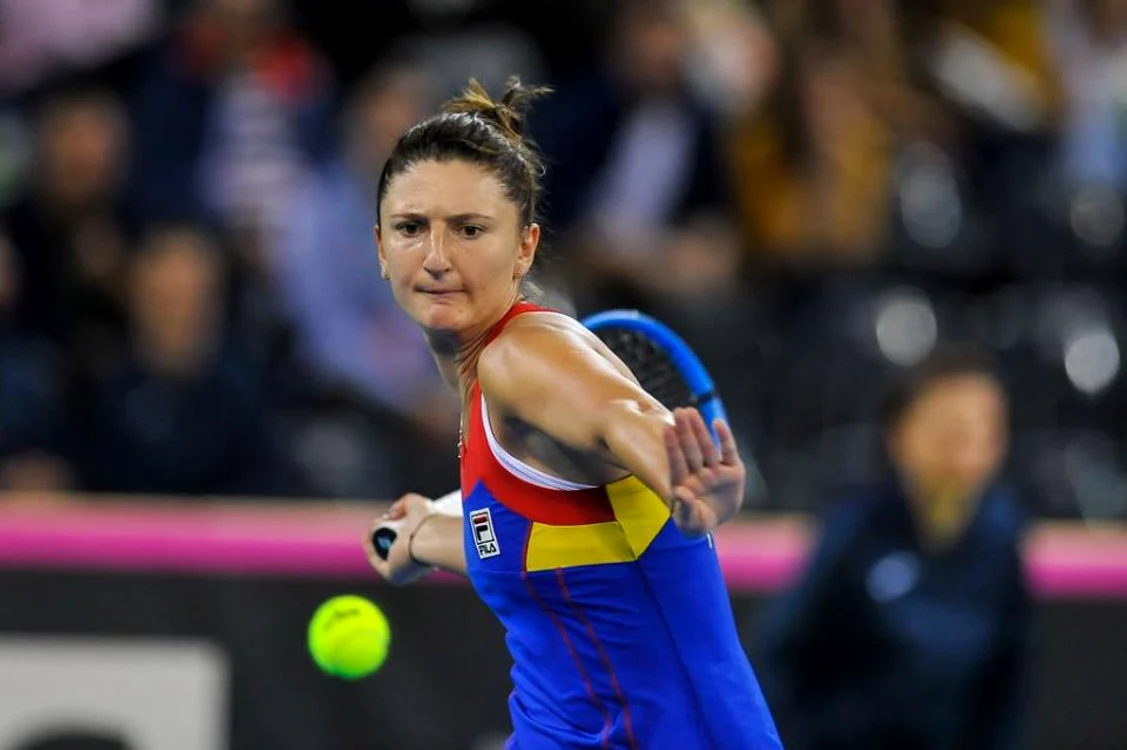 
    Irina Begu  