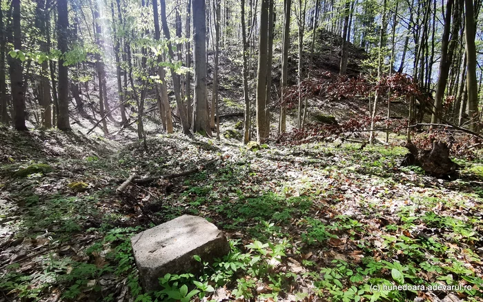 Sanctuarul de la Pustiosu. Foto: Daniel Guță. ADEVĂRUL