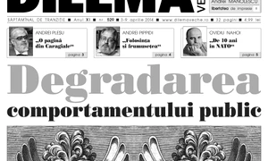 Degradarea comportamentului public jpeg