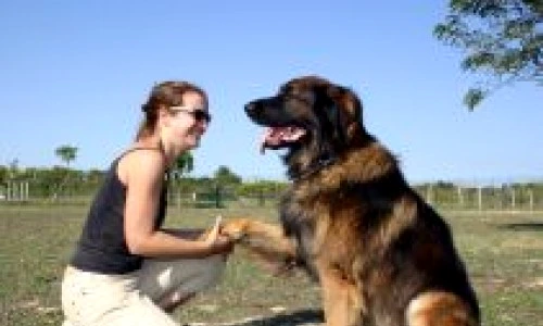 1 47501 original jpg jpeg