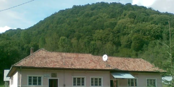 primaria intregalde