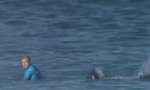 mick fanning atacat de rechin jpeg