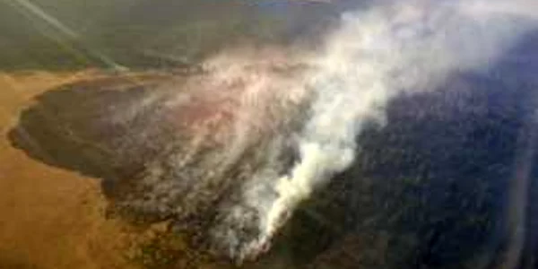 Pompieri din Alba au intervenit şi pentru stingerea unui incendiu forestier din munţii Lotrului 