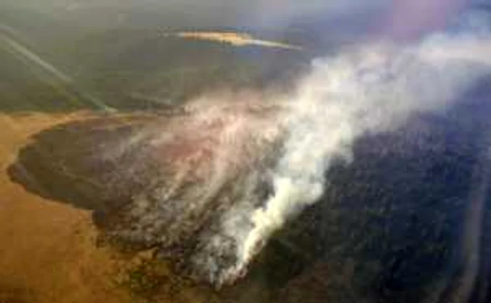 Pompieri din Alba au intervenit şi pentru stingerea unui incendiu forestier din munţii Lotrului
