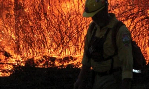 Canicula din Rusia, cea mai gravă din ultimii "1 000 de ani" jpeg