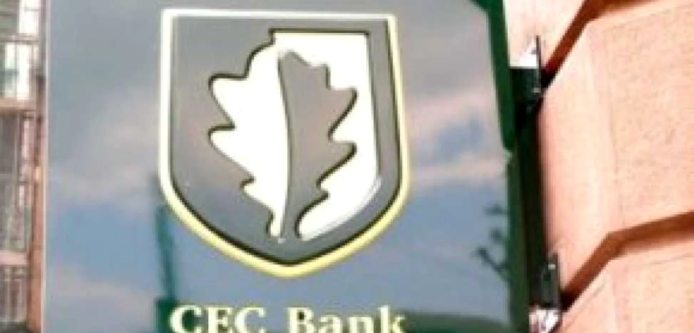 Geoană: România trebuie să-şi facă o bancă în jurul CEC
