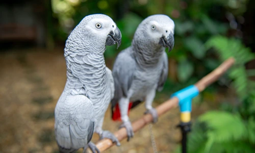 1 shutterstock 1552336940 jpg jpeg