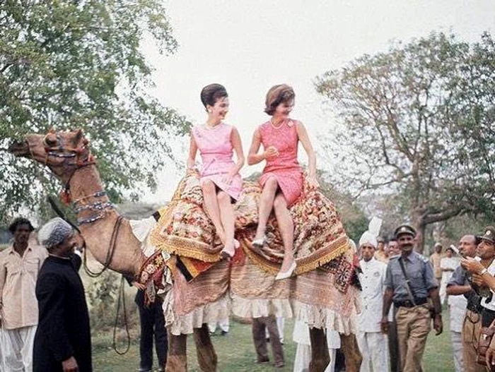 12 52369192 2101794570045443 6867778969752567808 n jpg jpeg