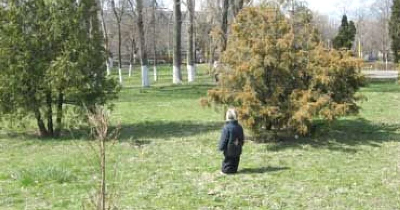 Constanta: Grevă japoneză la Garda de Mediu