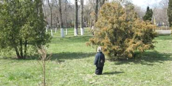 Constanta: Grevă japoneză la Garda de Mediu