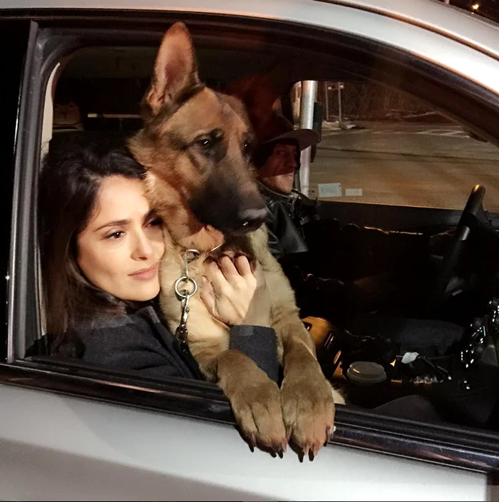 Salma Hayek este o mare iubitoare de animale