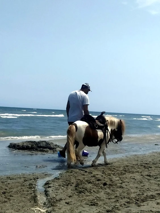 Plimbări cu poneiul, ca-n vremurile bune