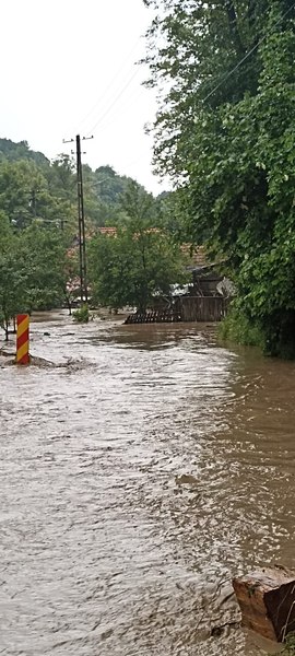 Gospodării inundate de viitură în județul Arad. Pompierii au scos persoane din locuință
