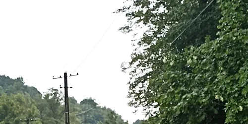 IMG 20230529 WA0030 jpg