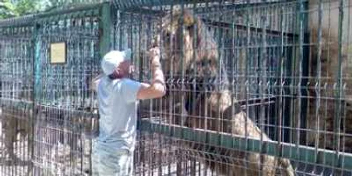 Oradea: Animalele de la Zoo pleacă în lume