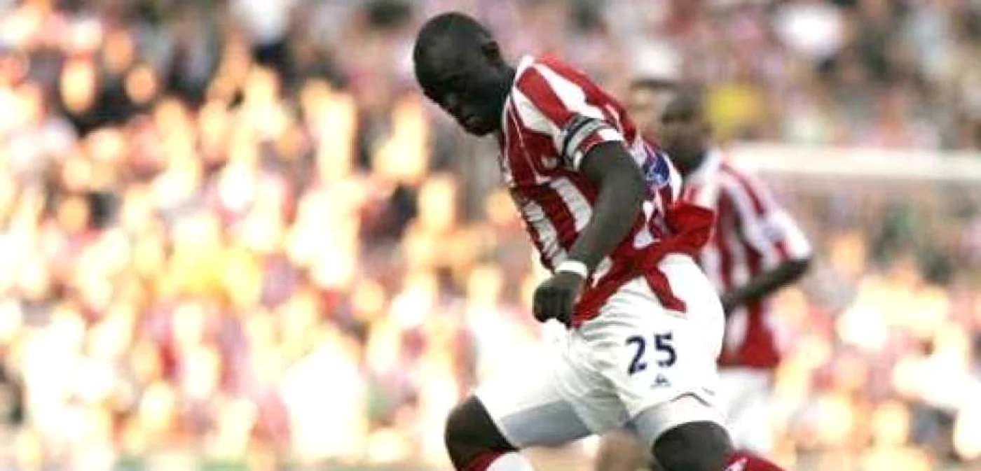 Faye a marcat golul al doilea al lui Stoke