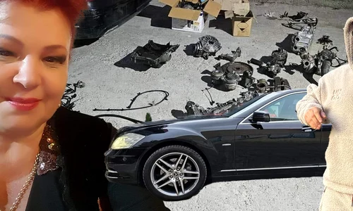 banner Rodica Crețu 