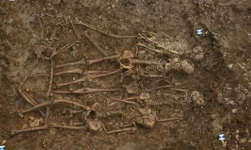 Rămășițe umane descoperite într-un cimitir medieval al criminalilor executați (© Network Archaeology)