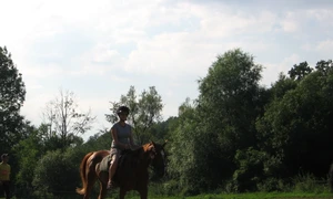 Lecţia de călărie jpeg