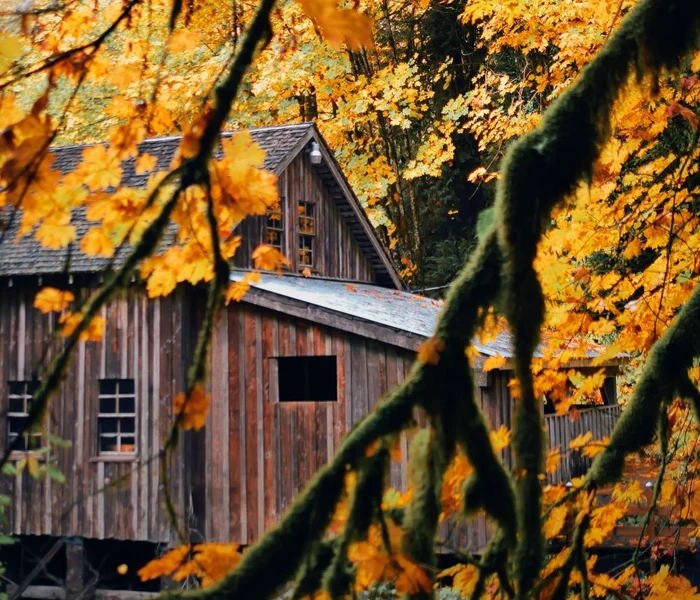 În intervalul 28 – 30 septembrie, în Maramureș se vor înregistra temperaturi maxime de 17...18 grade