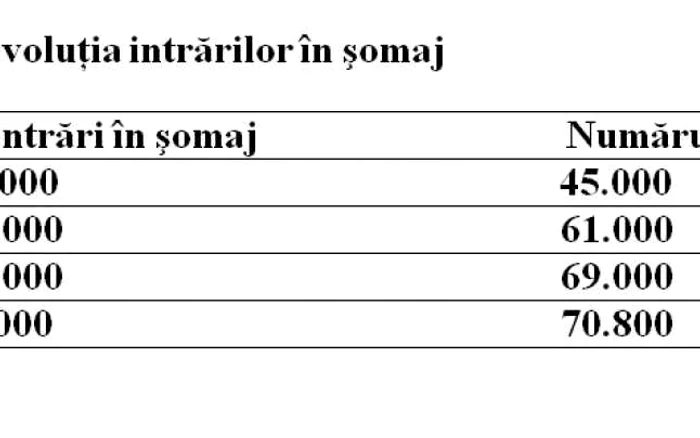 Evoluţia numărului tinerilor care au intrat direct în şomaj după absolvirea liceului sau facultăţii
