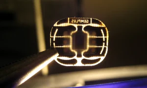 11003245 878994348829562 2019749388 o jpeg