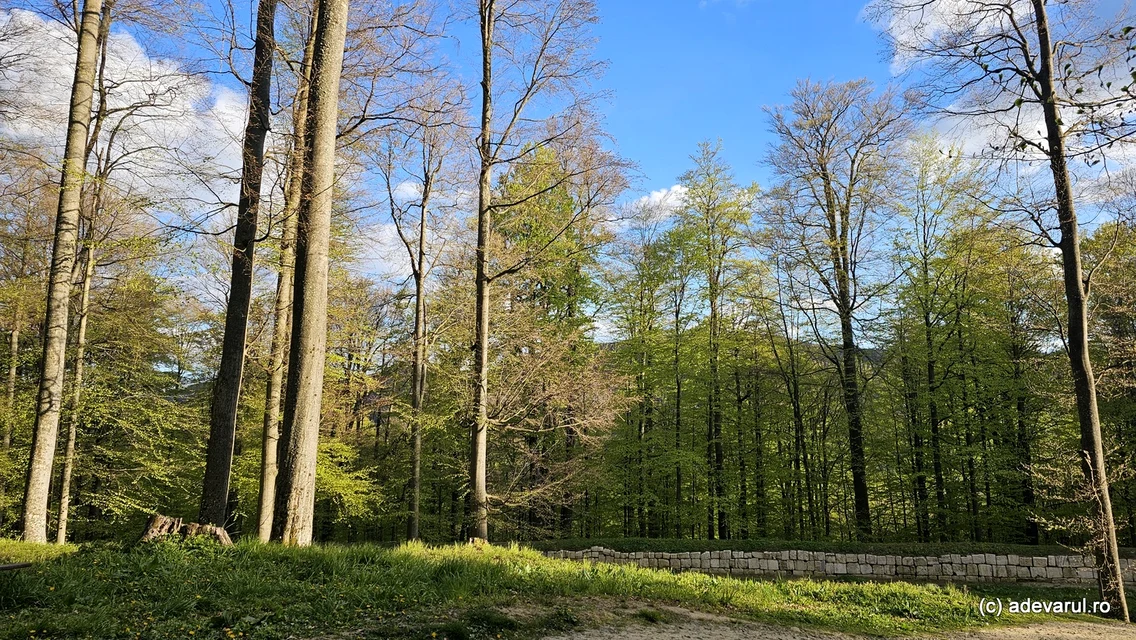 Sarmizegetusa Regia, mai 2026  Foto Daniel Guță ADEVĂRUL (21) jpg