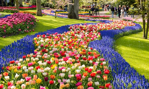 1 shutterstock 277574795 jpg jpeg