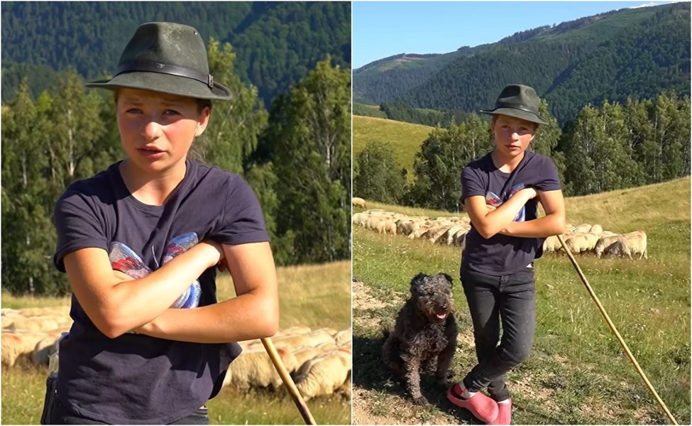 O fetiță din munții de lângă Șugag i-a impresionat pe români. Cât de grea este viața micuței care se ocupă de oi și mulge vacile