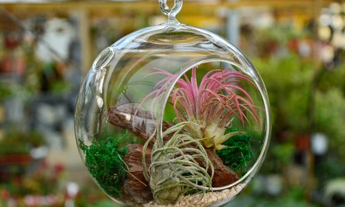 1 shutterstock 1174173313 jpg jpeg