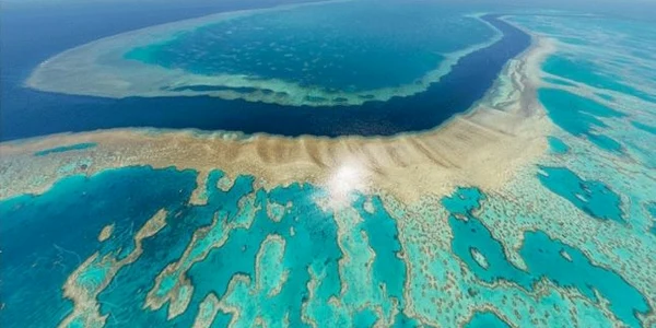 Marea Barieră de Corali din Australia - GBR - recif Foto businessinsider com
