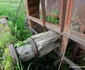 Comuna Bătrâna din Hunedoara  Foto Daniel Guță  ADEVĂRUL (249) JPG