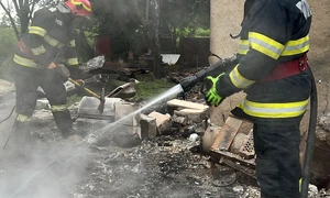 incendiu comana Foto ISU Ialomița jpg