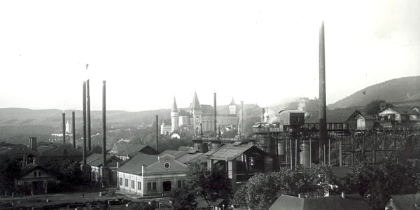 Uzinele de Fier din Hunedoara în 1900 Foto Schoch Fryges în Fortepan hu