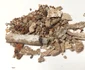 Un scut vechi de 1.800 de ani, cu rămășițele incinerate ale unui războinic vandal, descoperit în Polonia 