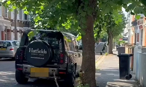 land rover legat copac londra jpg