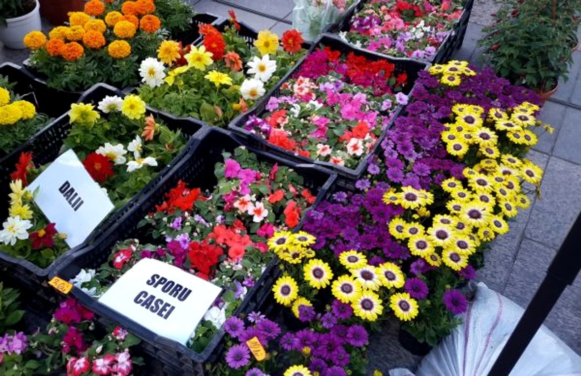 expo-flora slatina 2019