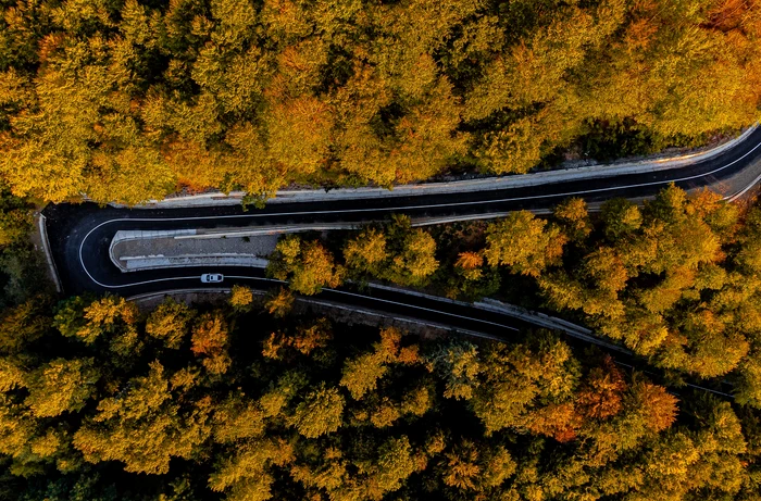  Drumul către cartierul Maluri din Pucioasa. Foto Mădălin Anca / FotografPucioasa