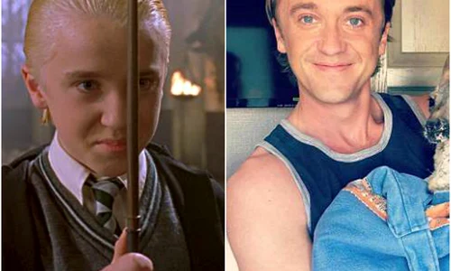 draco jpeg