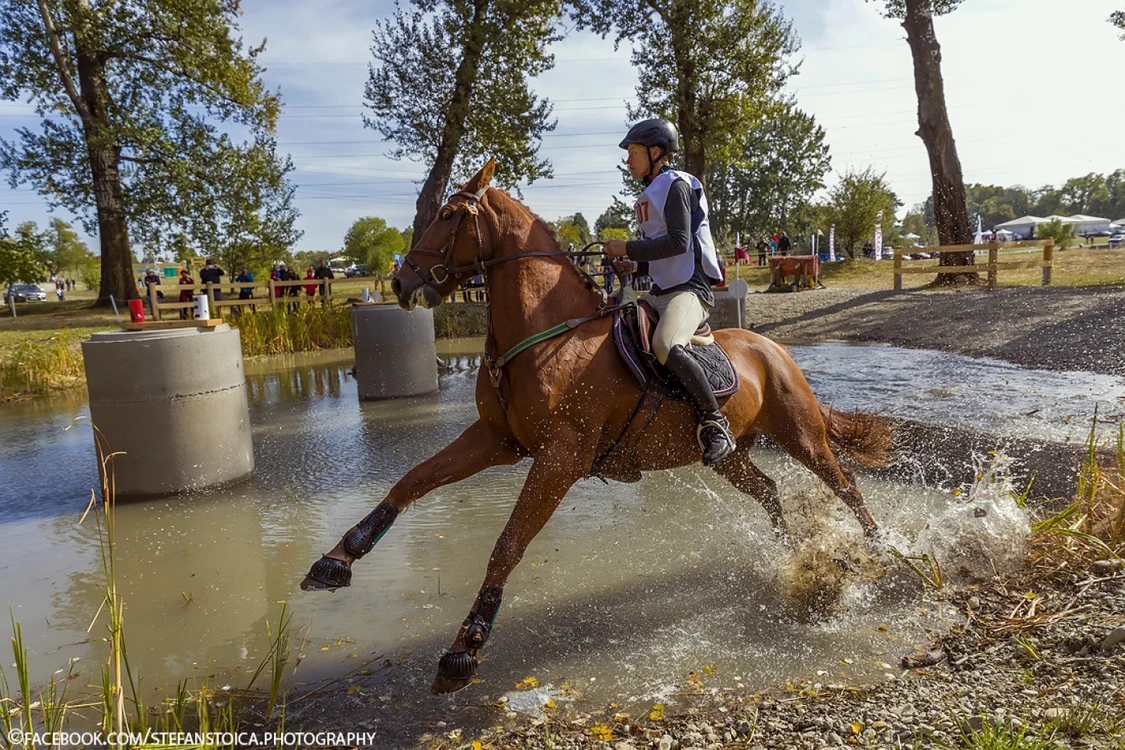 Karpatia Horse Show 