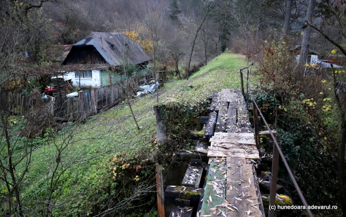 Podul de la Govăjdia. Foto: Daniel Guţă. ADEVĂRUL