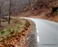 prihodiste muntii orastiei foto daniel guta adevarul